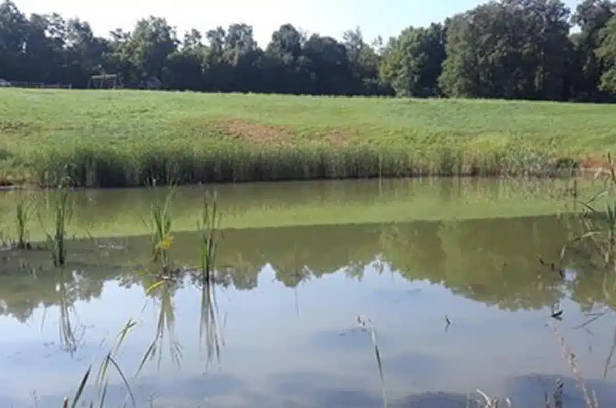 Cummins Nature Preserve